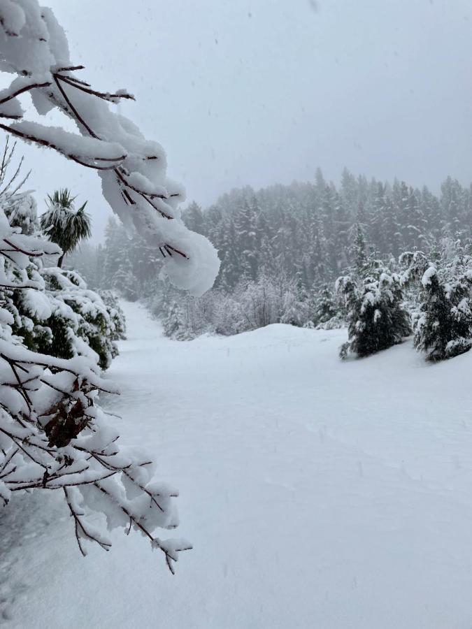 'Love' Hanmer Couples Retreat Hanmer Springs Extérieur photo